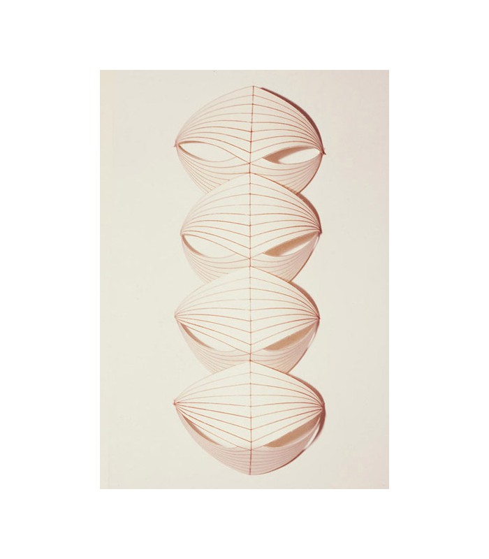 3-Dimensional Print, Etching, 15 in x 25 in