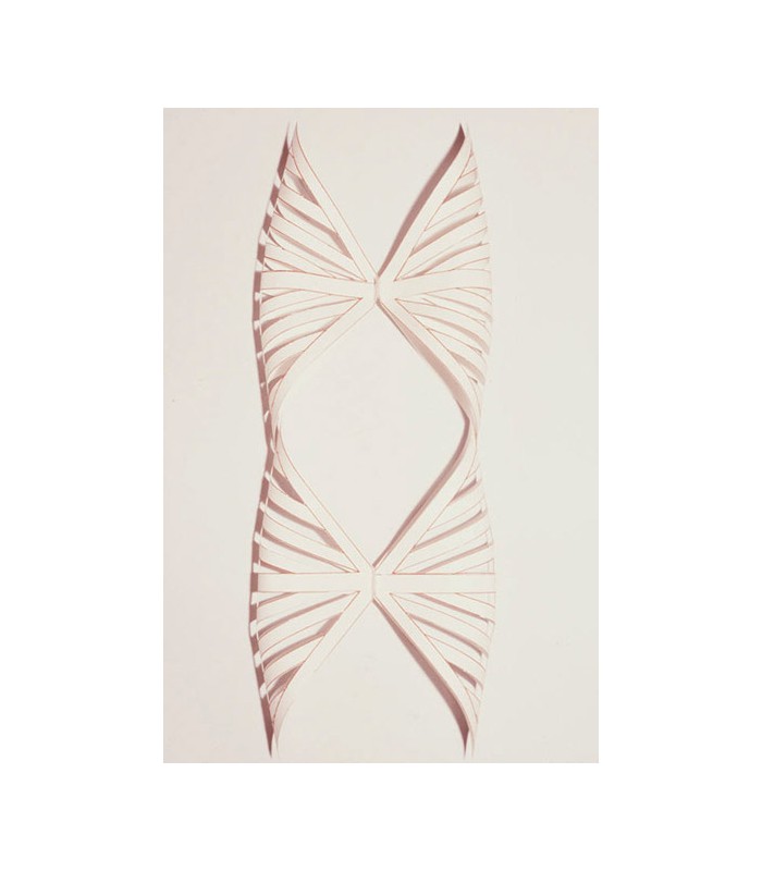 3-Dimensional Print, Etching, 15 in x 25 in